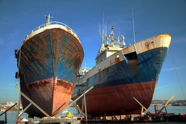 DG Shipping to monitor ship recycling activities