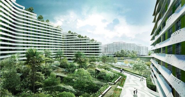 Urban Oasis: Transforming cityscapes with lush green spaces