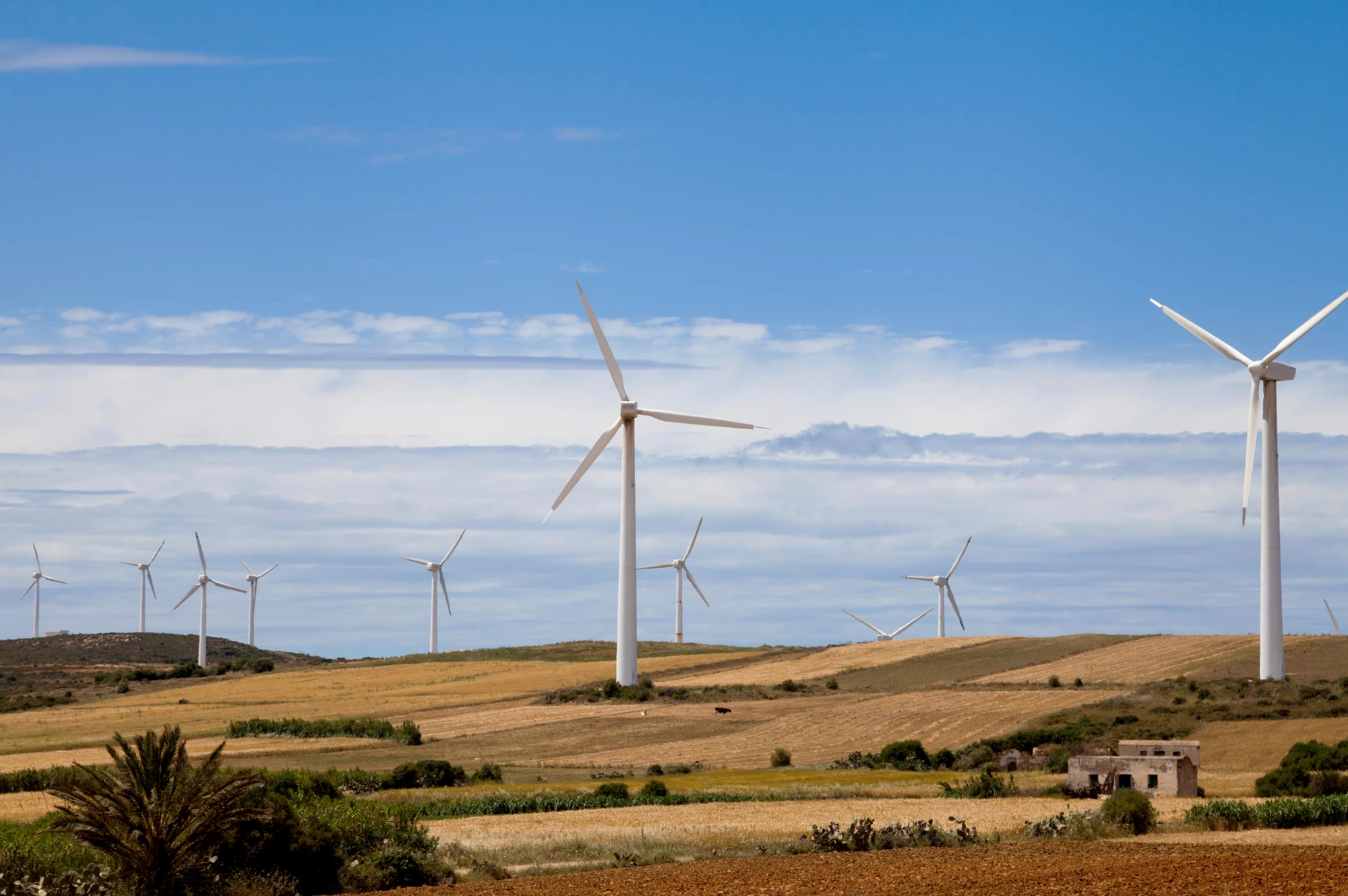 Wind Energy