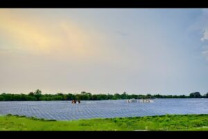 AMPIN Energy transition commissions 50 MWp solar plant in Chhattisgarh