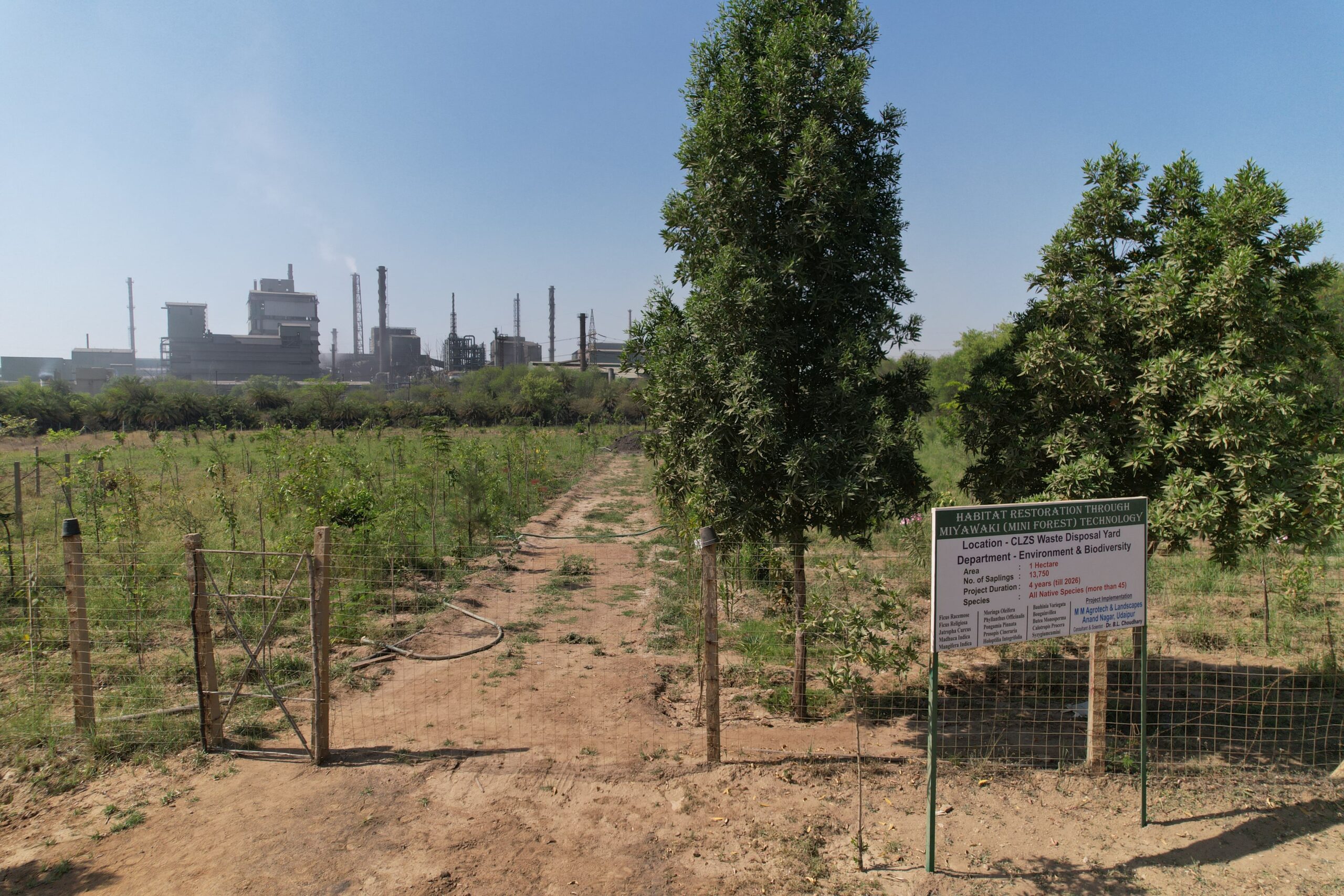 Hindustan Zinc crosses 8.55 Lakh Plantations Since 2020